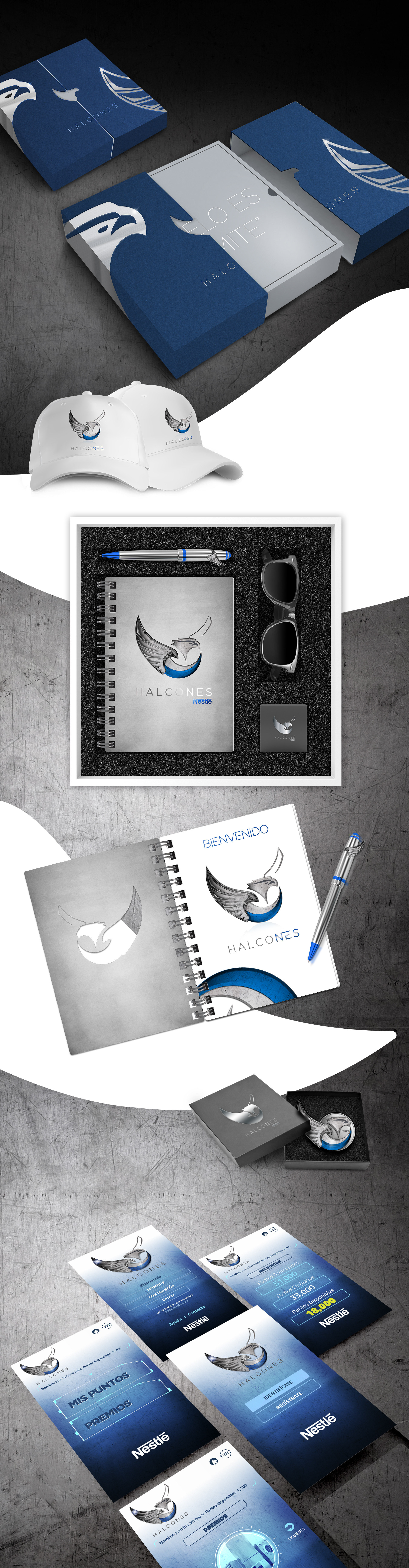 Chanma estudio estudio de marketing digital publicidad halcones1